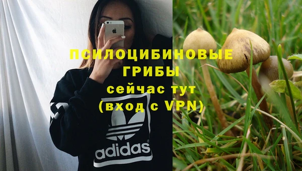 крисы Беломорск
