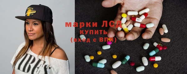 крисы Беломорск