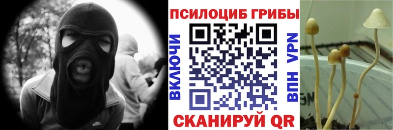 Галлюциногенные грибы GOLDEN TEACHER  Горячий Ключ 
